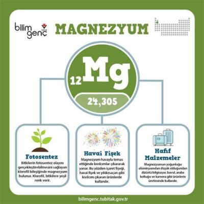  Magnezyum Alaşımı: Biyolojik Uyumlulukta Devrim mi?