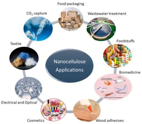  Nanocellüloz Nedir ve Endüstride Neden Önemli Bir Rol Oynamaktadır?